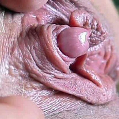 ������� ������� ������ ������ �� �������, ������� ���� ���� �������